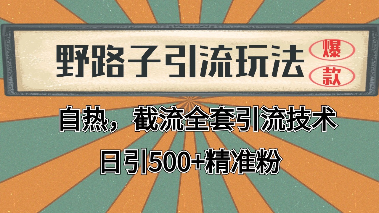 2024首发野路子引流玩法截流自热全平台打法,全自动引流【日引2000+精准客户】-777网创网