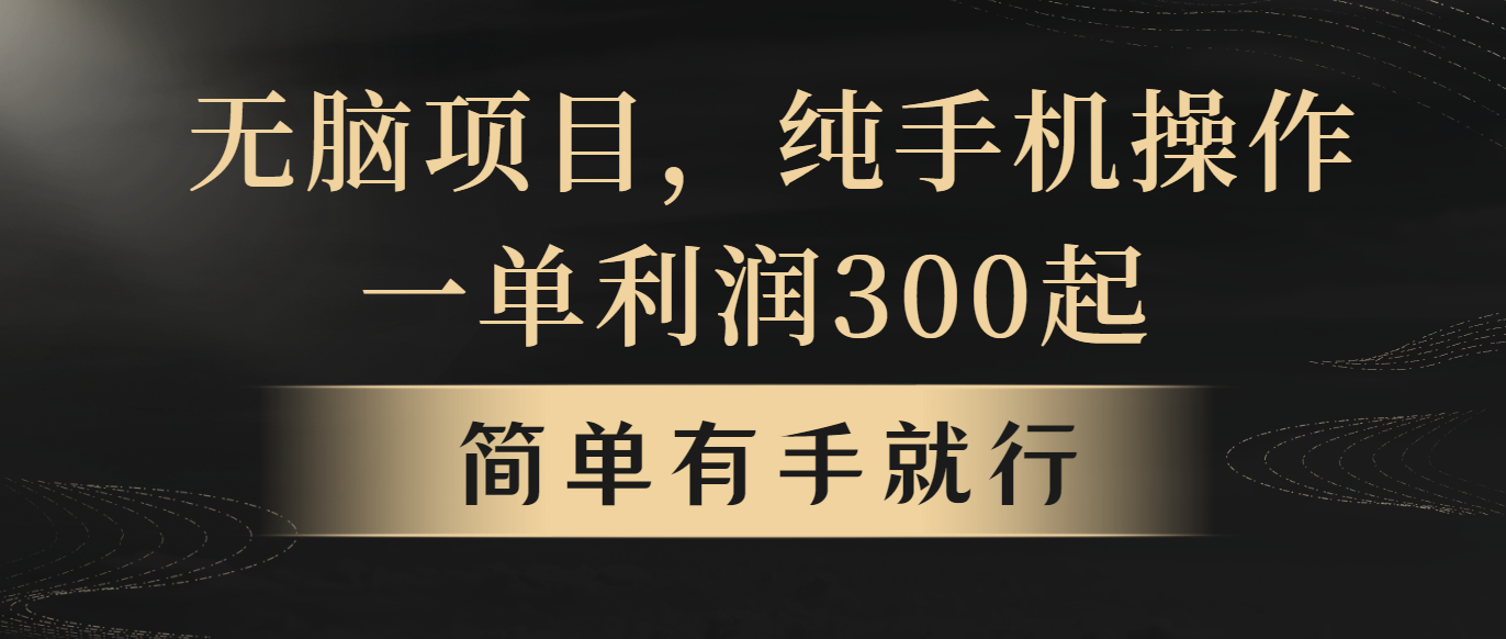 （10589期）无脑项目，一单几百块，轻松月入5w+，看完就能直接操作-777网创网