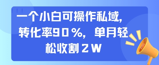 一个小白可操作私域，转化率90%，单月轻松收割2W-777网创网