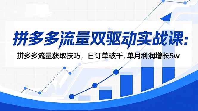 (16563期)拼多多流量双驱动实战课:拼多多流量获取技巧,日订单破千,单月利润增长5w (16563期)拼多多流量双驱动实战课:拼多多流量获取技巧,日订单破千,单月利润增长5w