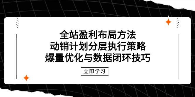 （14698期）全站盈利布局方法：动销计划分层执行策略，爆量优化与数据闭环技巧-777网创网
