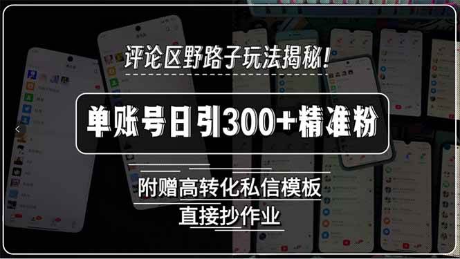 （15466期）评论区野路子玩法揭秘！单账号日引300+精准粉，附赠高转化私信模板，直…-777网创网