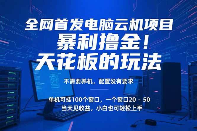 （15323期）电脑云机项目 暴力撸金玩法，不需要养机 配置没有要求 单机100个窗口一…-777网创网