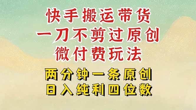 （15577期）快手黑科技搬运带货，一刀不剪过原创，微付费投流玩法，轻松日入四位数…-777网创网