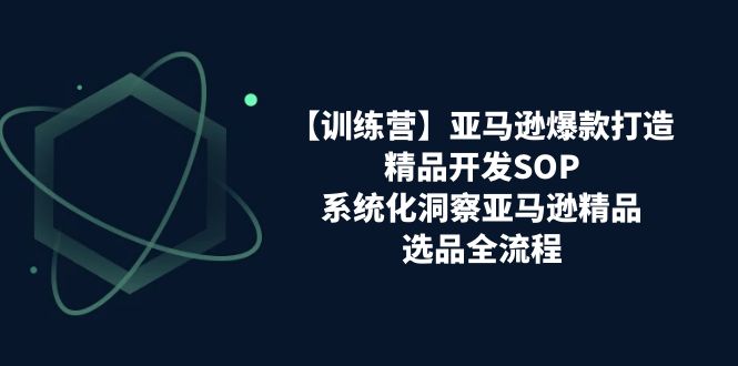 (11210期)【训练营】亚马逊爆款打造之精品开发SOP,系统化洞察亚马逊精品选品全流程-777网创网