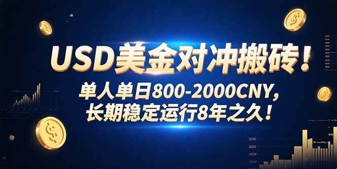 (15551期)USD美金对冲搬砖!单人单日800-2000CNY,长期稳定运行8年之久!-777网创网