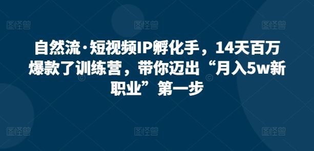 自然流·短视频IP孵化手,14天百万爆款了训练营,带你迈出“月入5w新职业”第一步