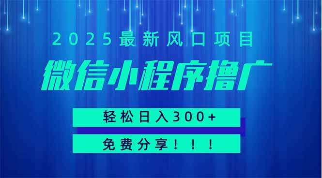 图片[1]-（14375期）微信小程序撸广，最新风口项目，日入300+ 免费分享 可批量操作 小白可…-777网创网