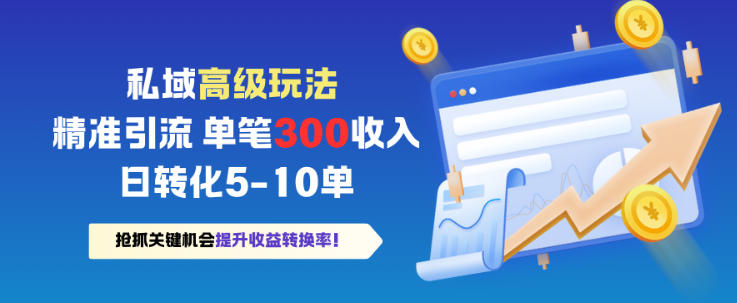私域高级玩法，精准引流，单笔3张收益，日转化5-10单-777网创网