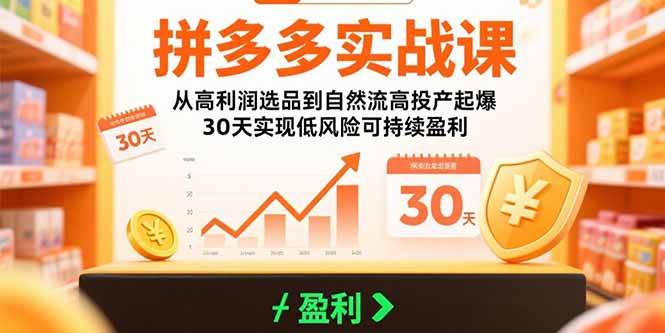 （15586期）拼多多实战课：从高利润选品到自然流高投产起爆 30天实现低风险可持续盈利-777网创网