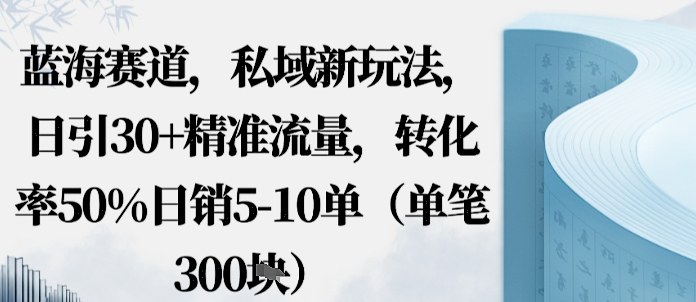 蓝海赛道，私域新玩法，日引30+精准流量，转化率50%日销5-10单（单笔3张）-777网创网