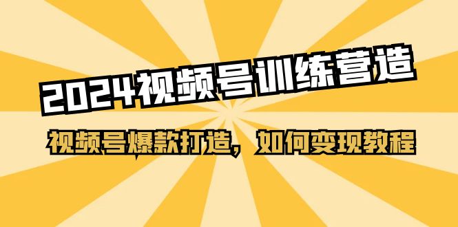 （11135期）2024视频号训练营，视频号爆款打造，如何变现教程（20节课）-777网创网