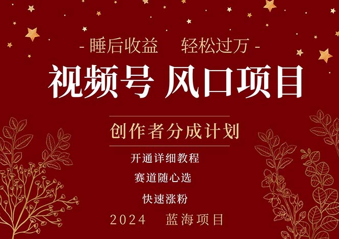 （11331期）拥有睡眠收益的微信视频号大风口项目，轻松月入过万+，多赛道选择，可…-777网创网