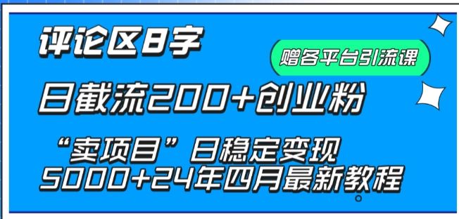 抖音评论区8字日截流200+创业粉 “卖项目”日稳定变现5000+【揭秘】-777网创网