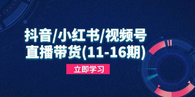 （14611期）抖音/小红书/视频号/直播带货(11-16期)，快速掌握平台规则，打造爆款内容-777网创网