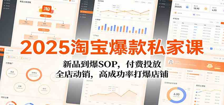 2025淘宝爆款私家课：新品到爆SOP，付费投放，全店动销，高成功率打爆店铺-777网创网