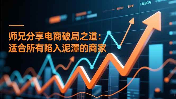 （16578期）师兄分享电商破局之道：适合所有陷入泥潭的商家-777网创网