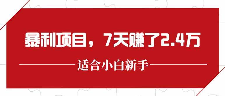 (15228期)最新暴利项目,每单收益轻松在300以上,7天赚了2.4万-777网创网