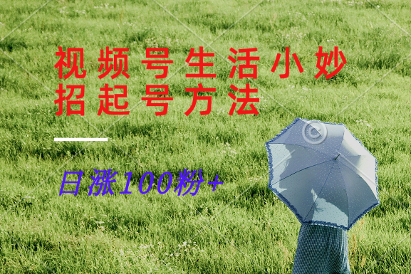 视频号生活小妙招分享赛道， 起号涨粉新方法，日涨100粉-777网创网