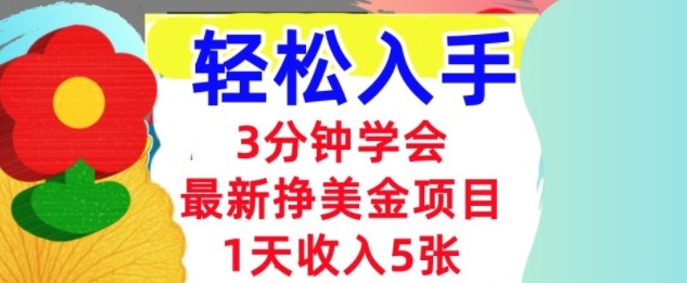 最新挣美金项目,日入5张,3分钟学会,小白轻松入手(长久的被动收入)