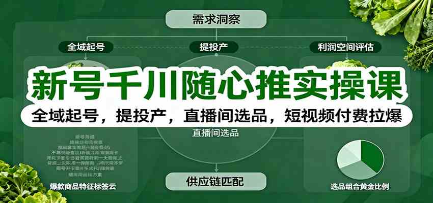 新号千川随心推实操课：全域起号，提投产，直播间选品，短视频付费拉爆-777网创网