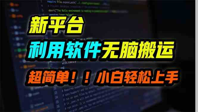 (9745期)新平台用软件无脑搬运,月赚10000+,小白也能轻松上手-777网创网