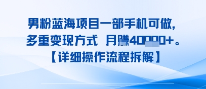 8月新男粉蓝海项目一部手机可做,多重变现方式 月入4W+【详细操作流程拆解】