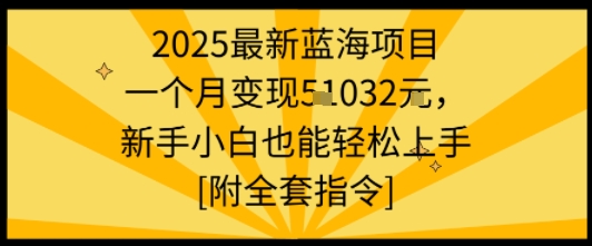 2025最新蓝海项目一个月变现1w+新手小白也能轻松上手【附全套指令】-777网创网