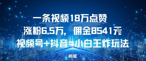 一条视频18W点赞涨粉6.5W，佣金8541视频号+抖音=小白王炸玩法-777网创网
