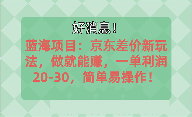 (10989期)越早知道越能赚到钱的蓝海项目:京东大平台操作,一单利润20-30,简单…-777网创网