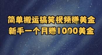 简单搬运搞笑视频挣美金,新手一个月入1k美金-777网创网
