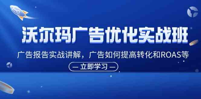 沃尔玛广告优化实战班，广告报告实战讲解，广告如何提高转化和ROAS等-777网创网