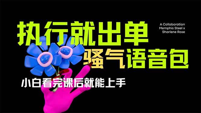 （14170期）爆火全网的开车导航骚气语音包,只要执行就出单，小白看完课程就能实操…-777网创网