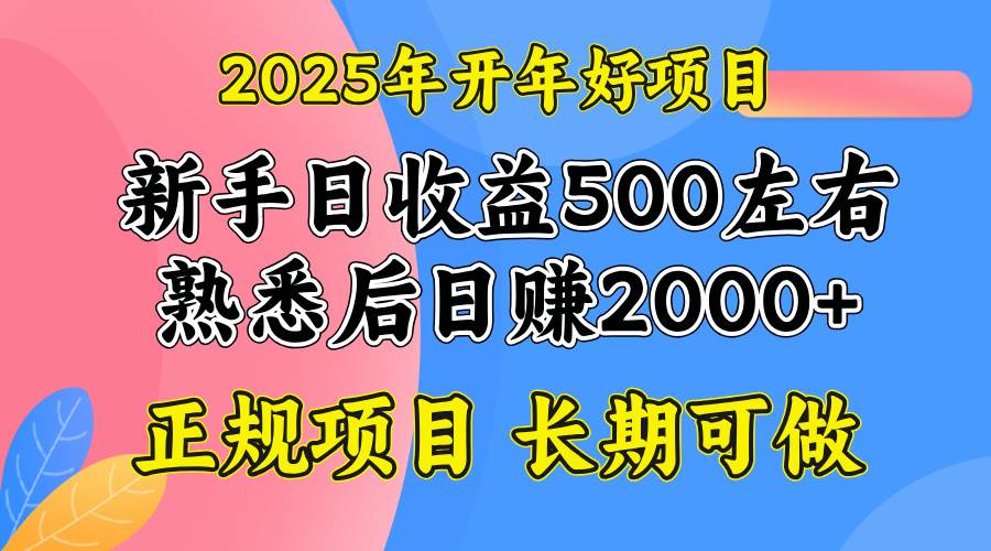 (14076期)2025开年好项目,单号日收益2000左右-777网创网