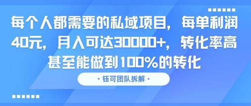 每个人都需要的私域项目,每单利润40米,月入可达3W+,转化率高 甚至能做到100%的转化