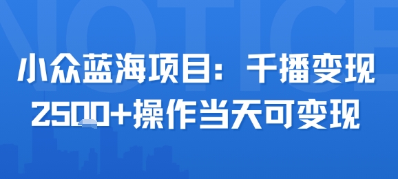 小众蓝海项目,千播变现2.5k+操作当天可变现
