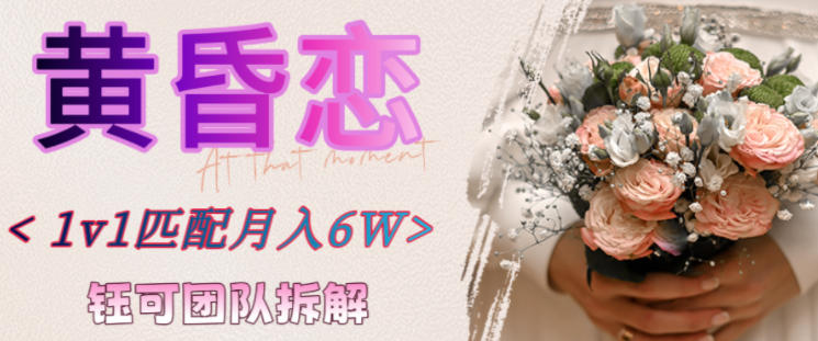 副业拆解:黄昏恋1对1匹配月入6个,潜力巨大