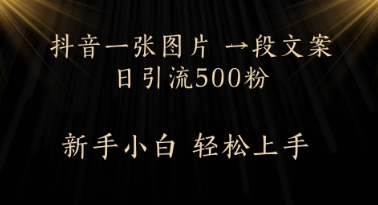 每天2分钟,抖音一张图片 一段文案日引流500粉-777网创网