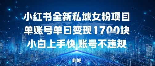 小红书全新私域女粉项目单账号单日变现多张,小白上手快账号不违规建议准备多账号操作