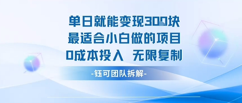 单日就能变现3张最适合小白做的项目0成本投入 无限复制-777网创网