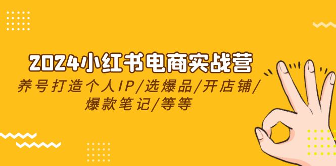 （10375期）2024小红书电商实战营，养号打造IP/选爆品/开店铺/爆款笔记/等等（24节）-777网创网