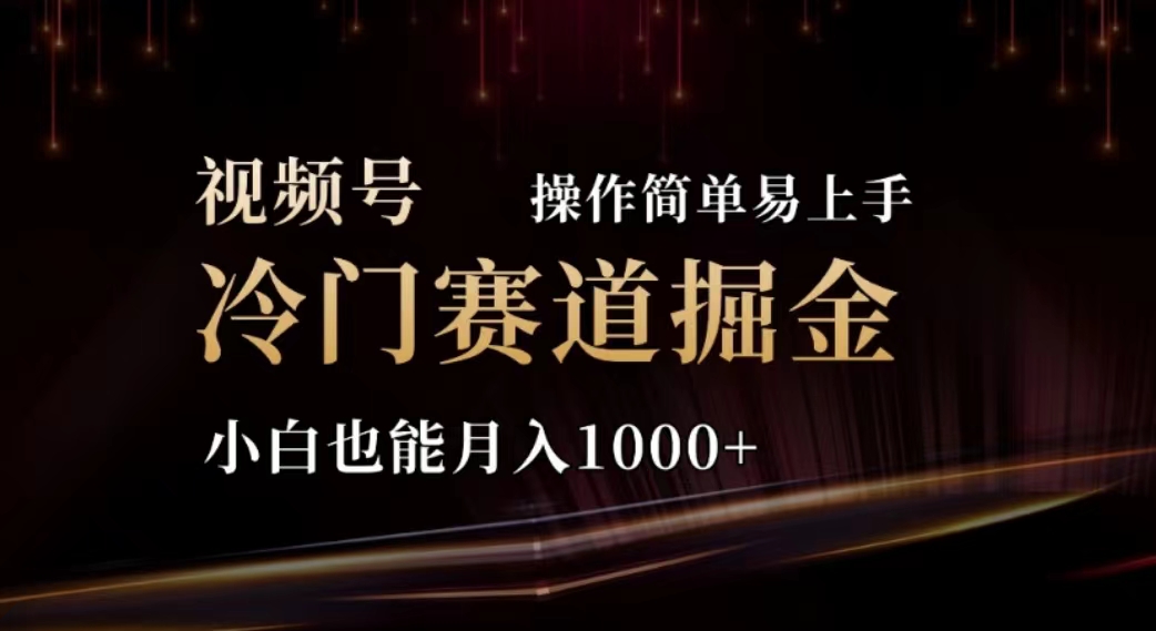 （11378期）2024视频号冷门赛道掘金，操作简单轻松上手，小白也能月入1000+-777网创网