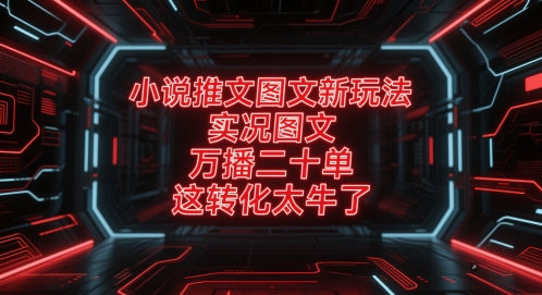 小说推文图文新玩法，实况图文，万播二十单，这转化太牛了！-777网创网