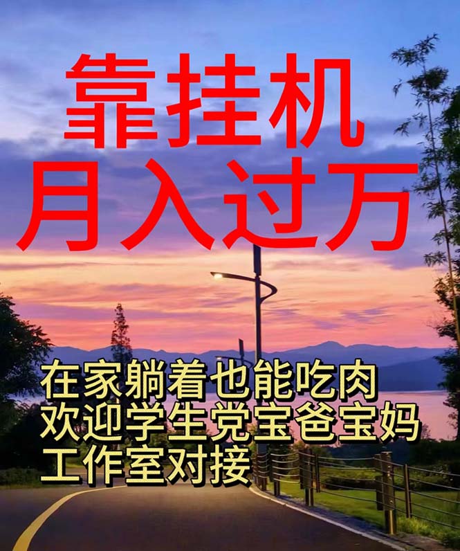 （10838期）靠挂机，日入1000+，躺着也能吃肉，适合宝爸宝妈学生党工作室，电脑手…-777网创网