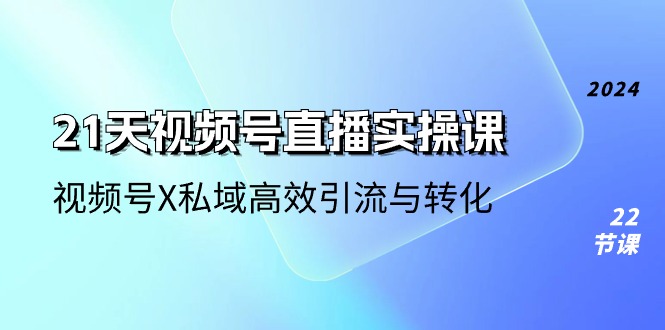 （10966期）21天-视频号直播实操课，视频号X私域高效引流与转化（22节课）-777网创网