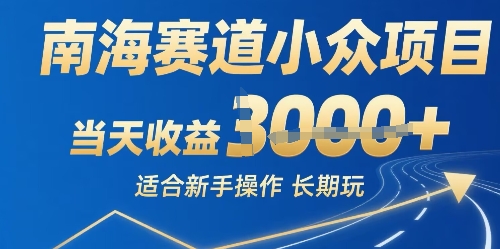 南海赛道小众项目，当天收益1k+适合新手操作可以长期玩-777网创网