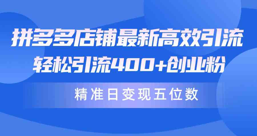 (10041期)拼多多店铺最新高效引流术,轻松引流400+创业粉,精准日变现五位数!-777网创网