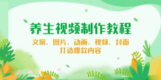 (14163期)养生视频制作教程,文案、图片、动画、视频、封面,打造爆款内容-777网创网