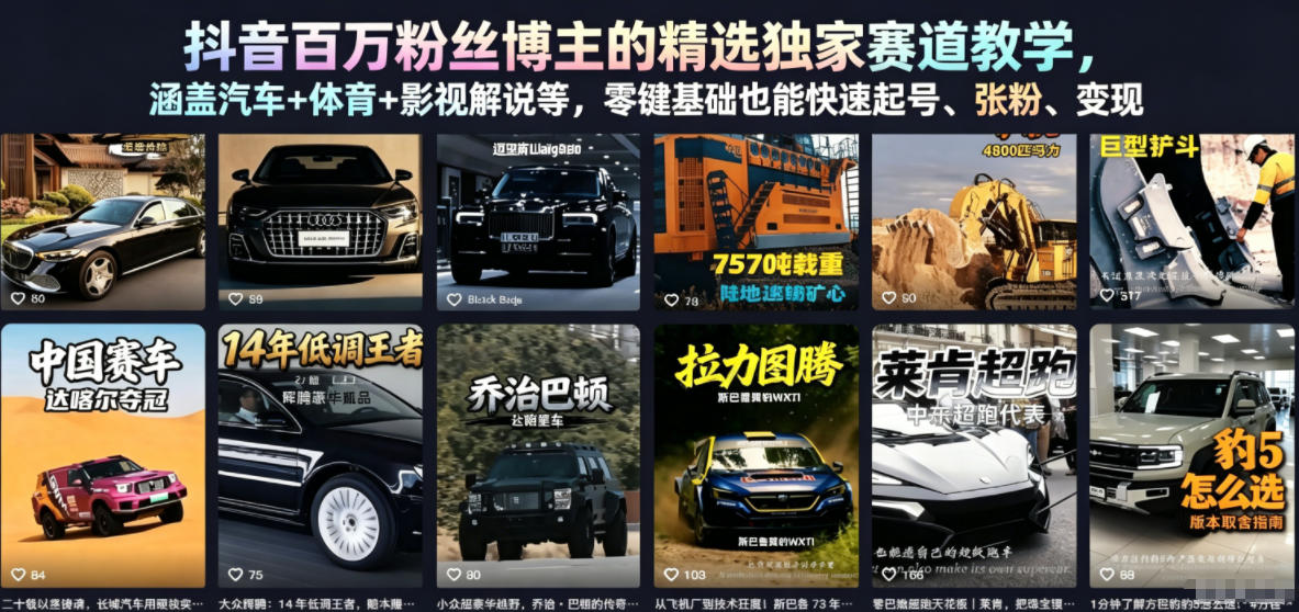 抖音百万粉丝博主的精选独家赛道教学，涵盖汽车+体育+影视解说等，零基础也能快速起号、涨粉、变现（更新0701）-777网创网