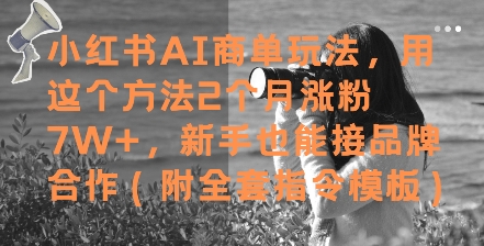 小红书AI商单玩法,用这个方法2个月涨粉7W+,新手也能接品牌合作(附全套指令模板)-777网创网